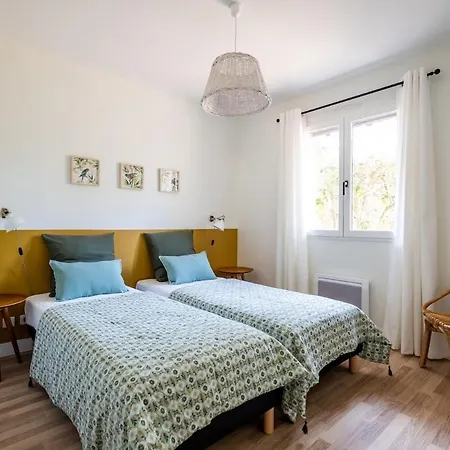 Indigo Proche فيلة *